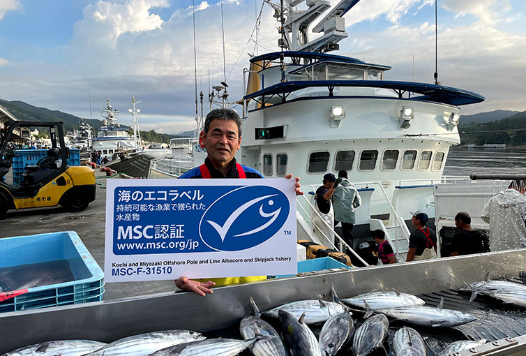 高知と宮崎の近海かつお一本釣り漁業によるMSC認証取得