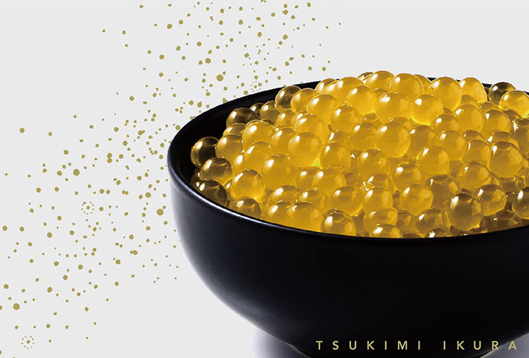 Tsukimi Ikura®: Make Salmon and Japanese Food Culture Sustainable by Cherry Salmon Circular Farming